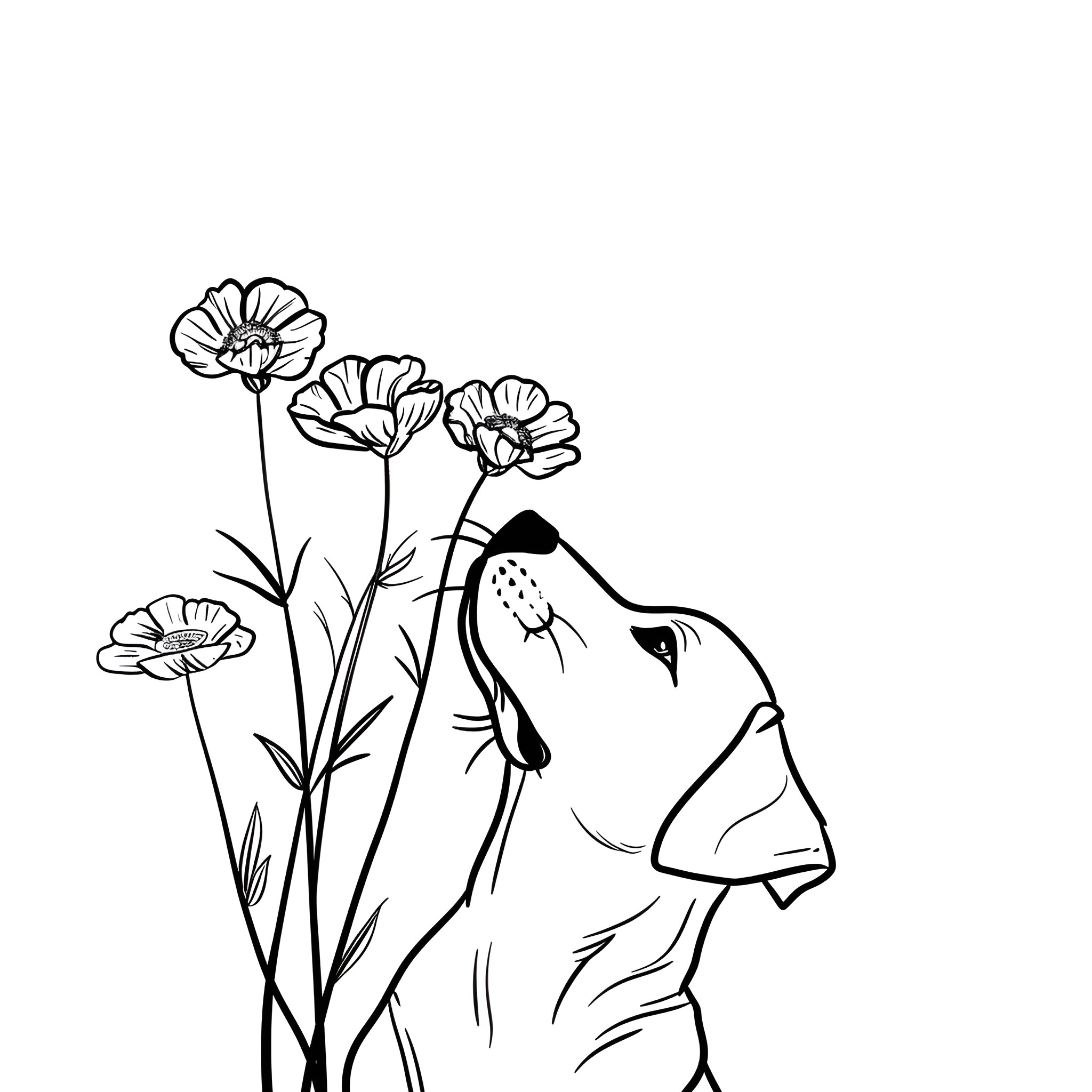 Easy Dog Admiring Flowers Drawing Idea (free black-and-white line drawing printable PDF for all, from beginners to advanced learners, including children, teens, adults, and seniors)