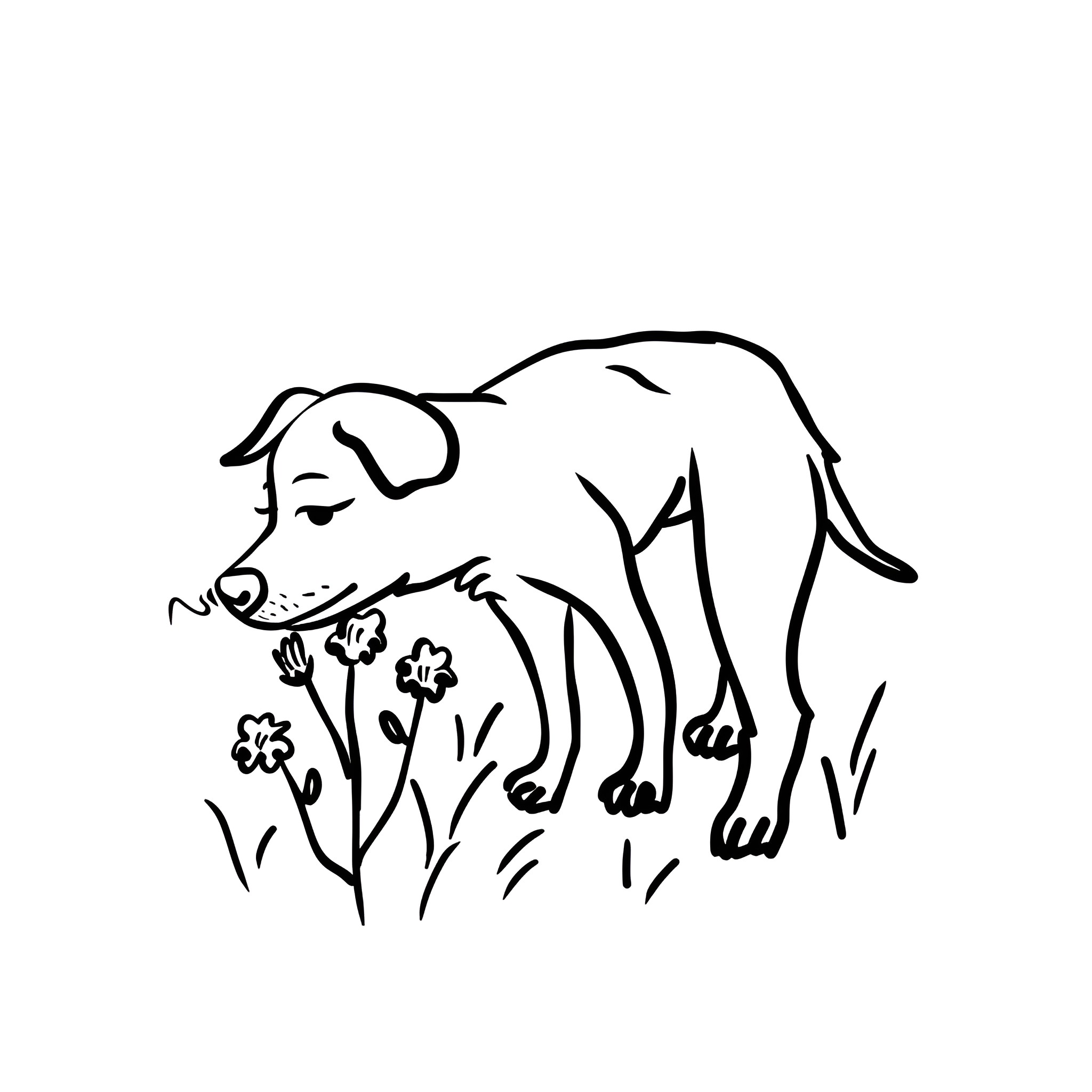 Easy Dog Resting in Floral Field Drawing Idea (free black-and-white line drawing printable PDF for all, from beginners to advanced learners, including children, teens, adults, and seniors)