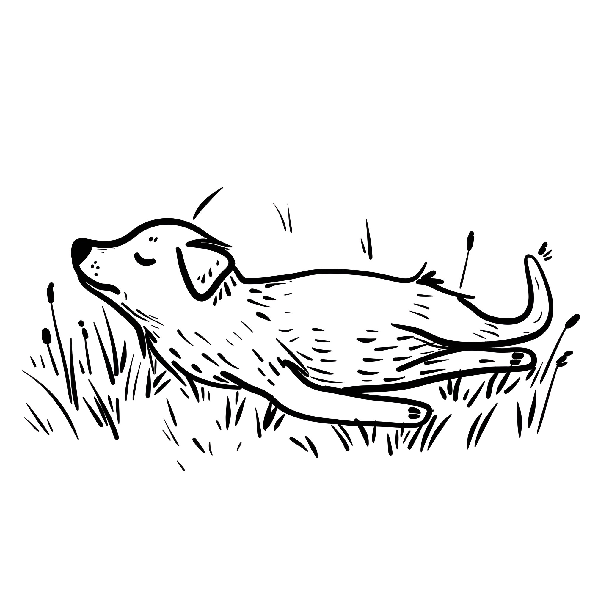 Easy Dog Playing in Grass Drawing Idea (free black-and-white line drawing printable PDF for all, from beginners to advanced learners, including children, teens, adults, and seniors)