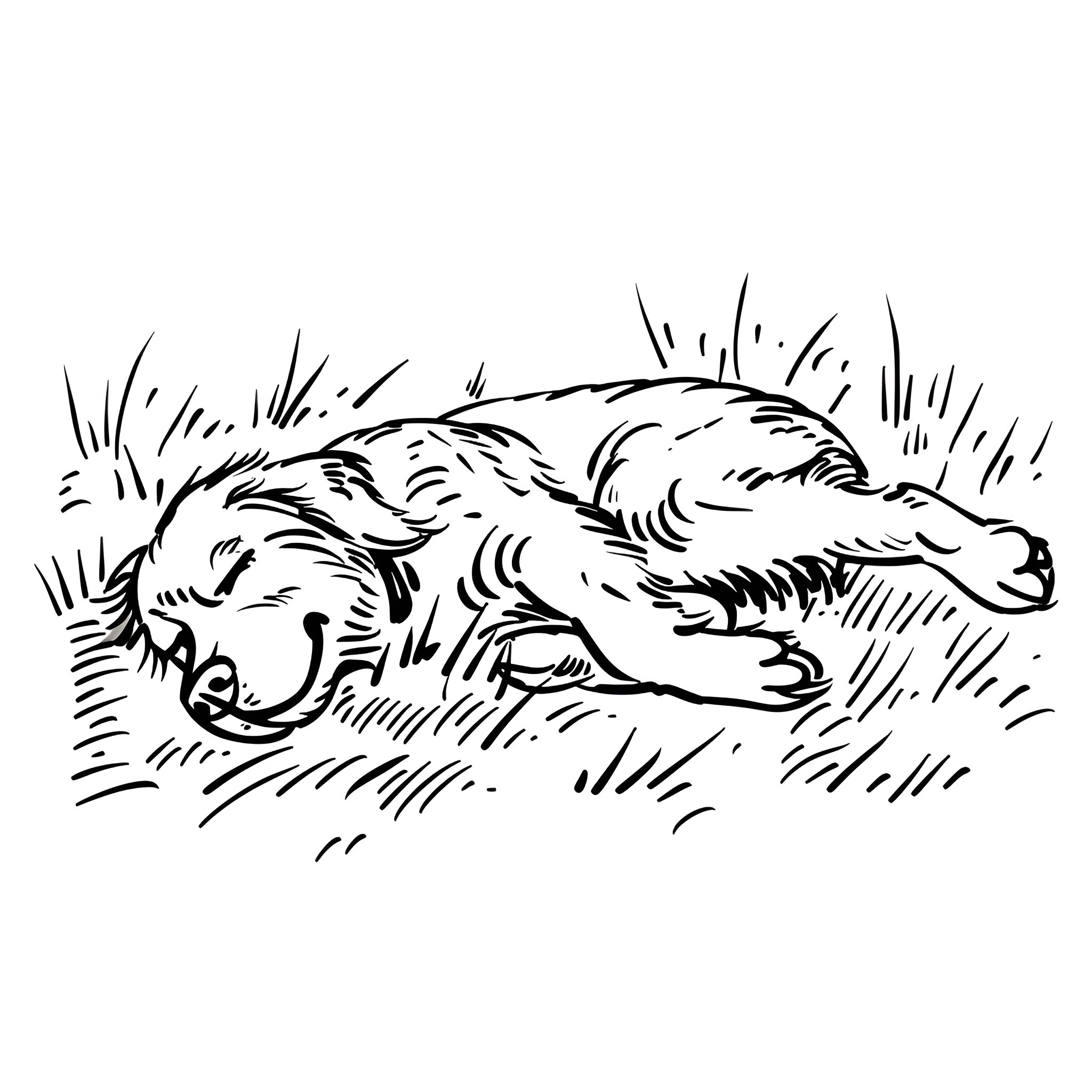 Easy Dog Playing in Grass Drawing Idea (free black-and-white line drawing printable PDF for all, from beginners to advanced learners, including children, teens, adults, and seniors)