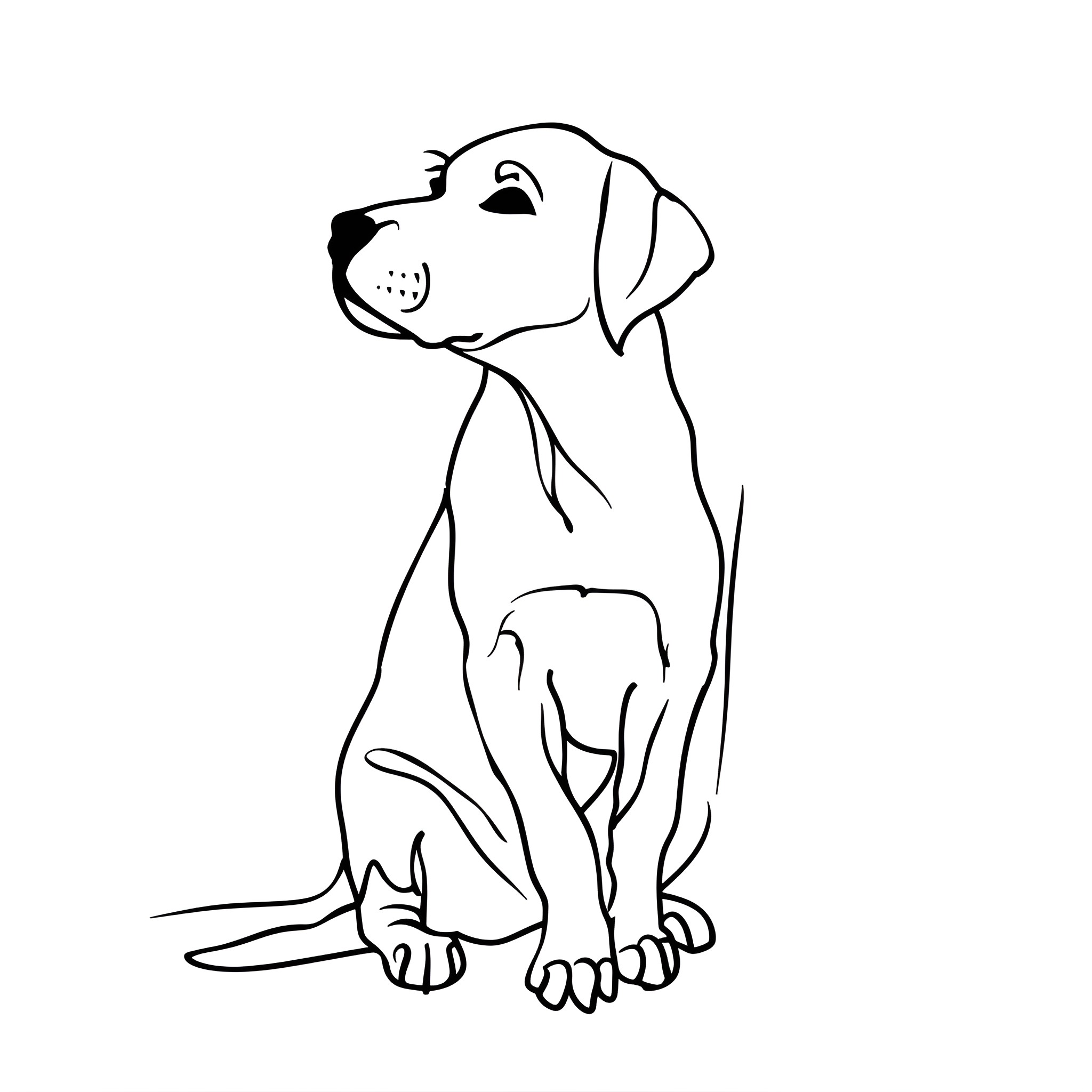 Dog sitting patiently Drawing Idea (free black-and-white line drawing printable PDF for all, from beginners to advanced learners, including children, teens, adults, and seniors)