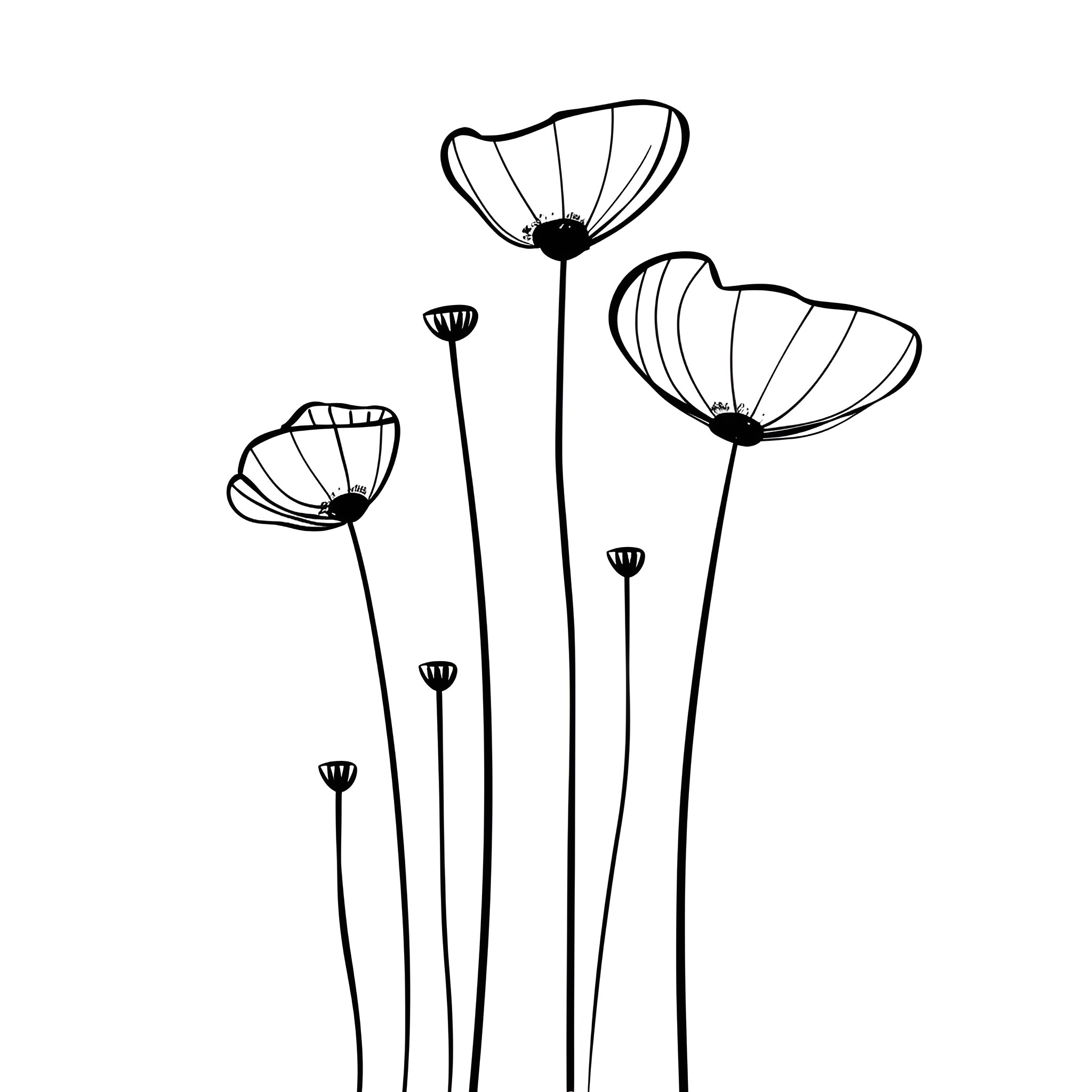 Flowers in silhouette Drawing Idea (free black-and-white line drawing printable PDF for all, from beginners to advanced learners, including children, teens, adults, and seniors)