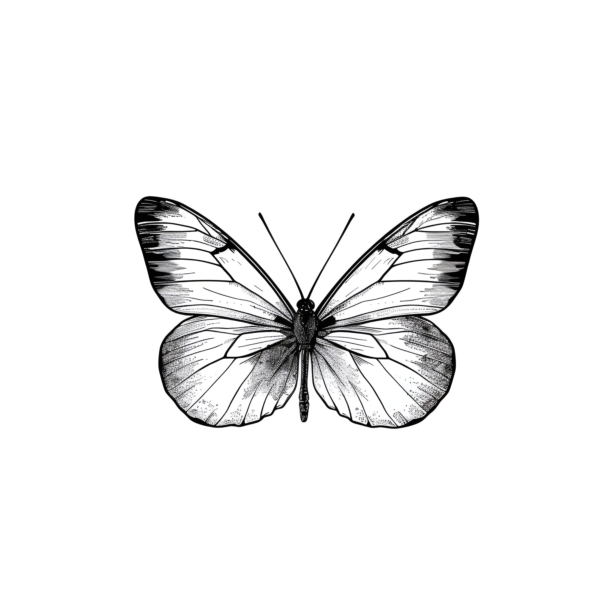 Butterfly with intricate wing design Drawing Idea (free black-and-white line drawing printable PDF for all, from beginners to advanced learners, including children, teens, adults, and seniors)