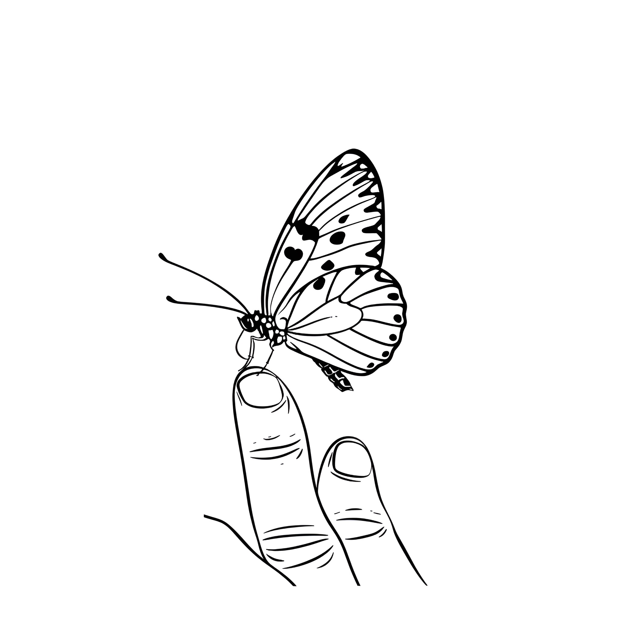 Butterfly landing on fingers Drawing Idea (free black-and-white line drawing printable PDF for all, from beginners to advanced learners, including children, teens, adults, and seniors)