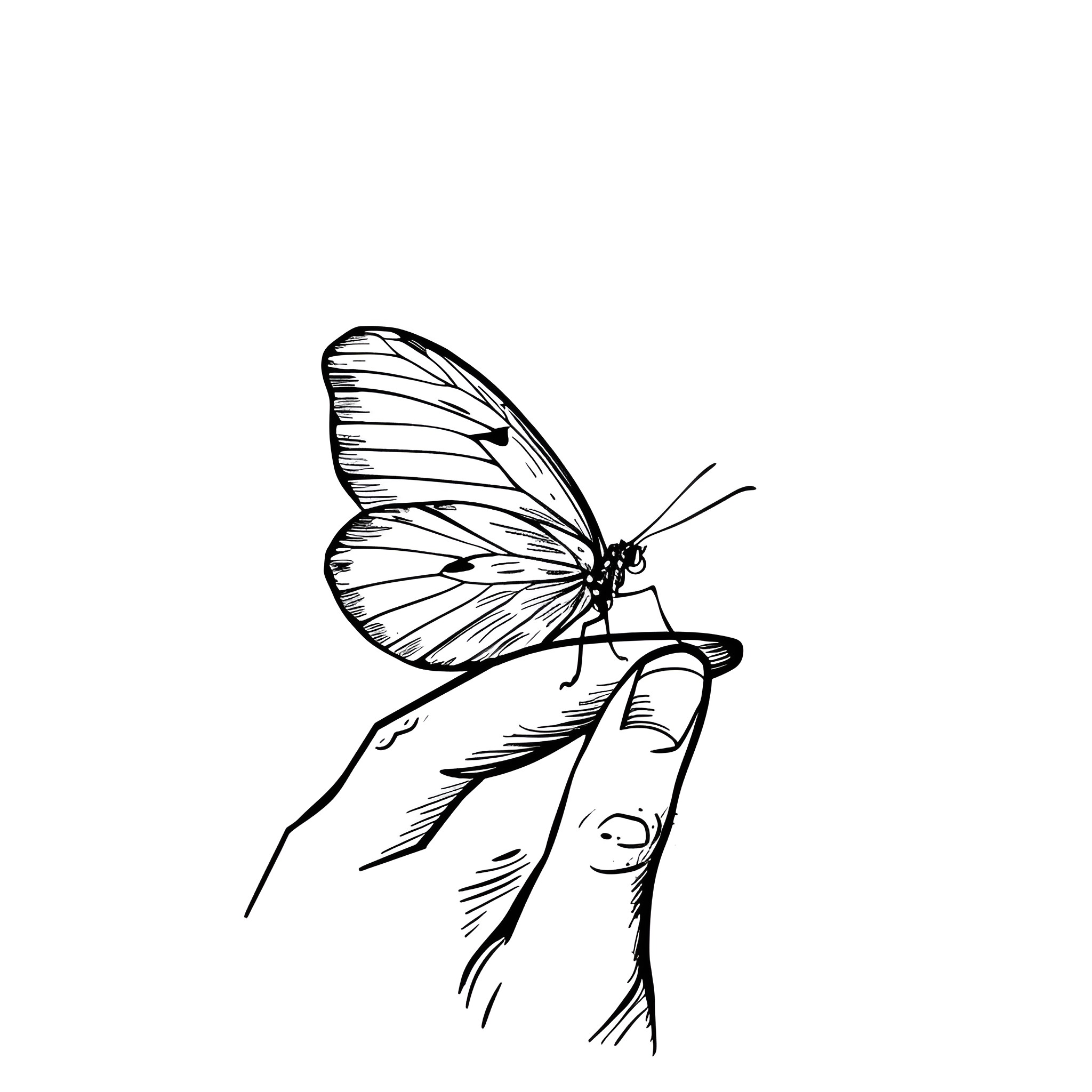Butterfly resting on outstretched hand Drawing Idea (free black-and-white line drawing printable PDF for all, from beginners to advanced learners, including children, teens, adults, and seniors)