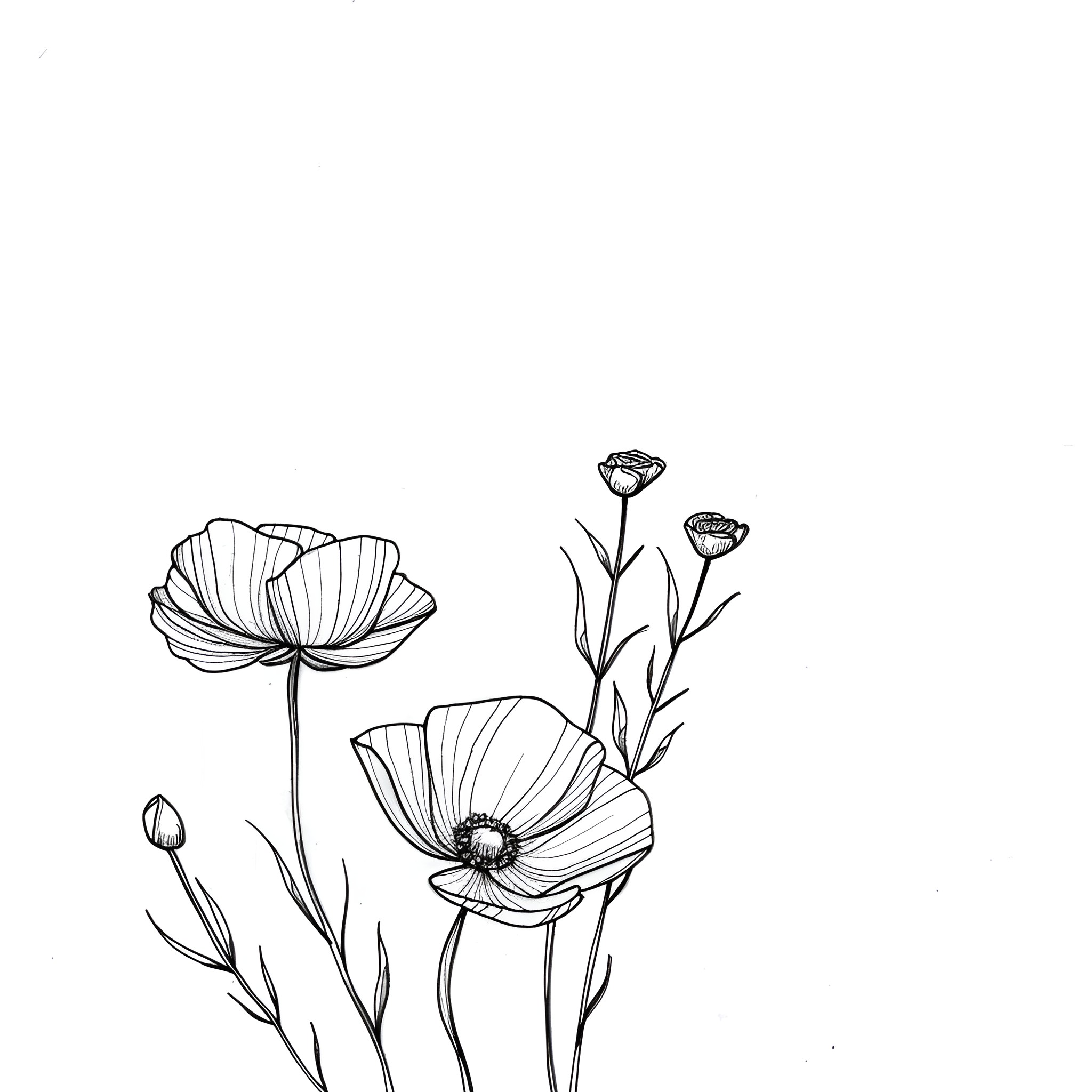 Pencil Sketch of Floral Arrangement Drawing Idea (free black-and-white line drawing printable PDF for all, from beginners to advanced learners, including children, teens, adults, and seniors)