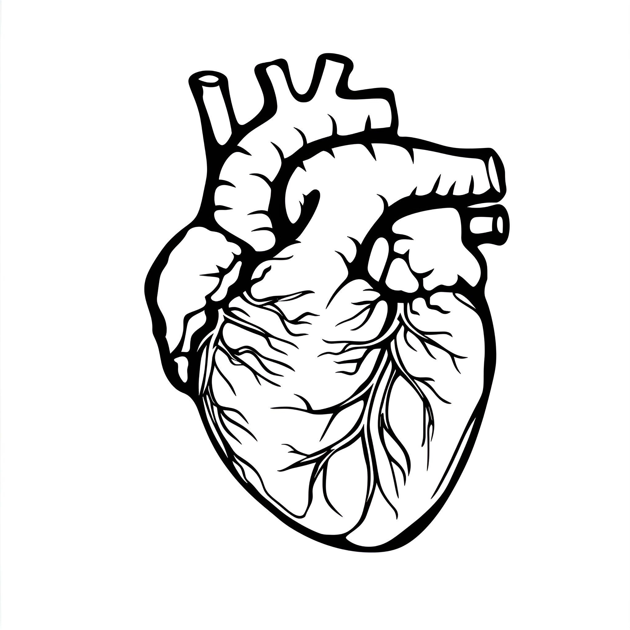 Heart of Anatomical Expression Drawing Idea (free black-and-white line drawing printable PDF for all, from beginners to advanced learners, including children, teens, adults, and seniors)