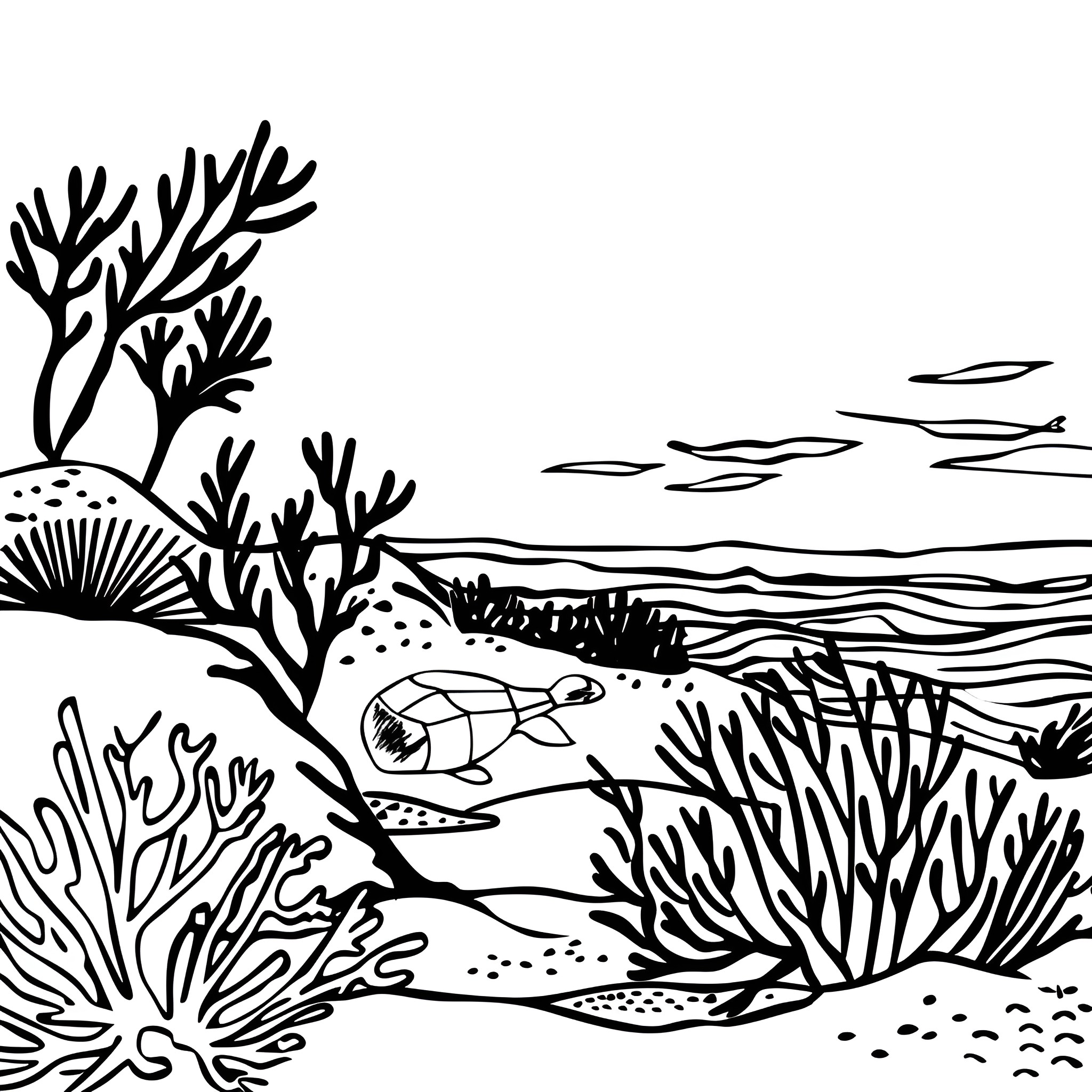 Landscape with underwater marine life Drawing Idea (free black-and-white line drawing printable PDF for all, from beginners to advanced learners, including children, teens, adults, and seniors)