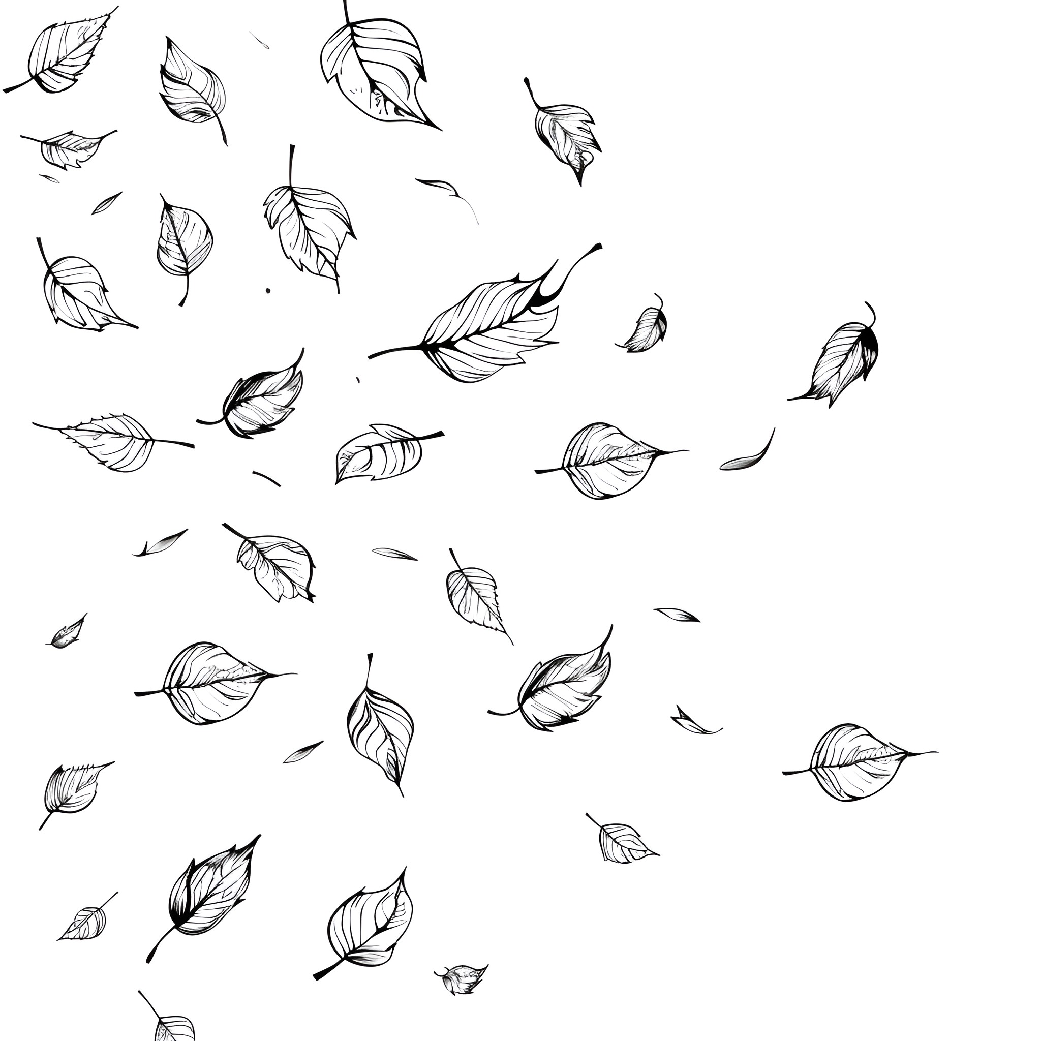 Fall Season Leaves Drifting in the Wind Drawing Idea (free black-and-white line drawing printable PDF for all, from beginners to advanced learners, including children, teens, adults, and seniors)