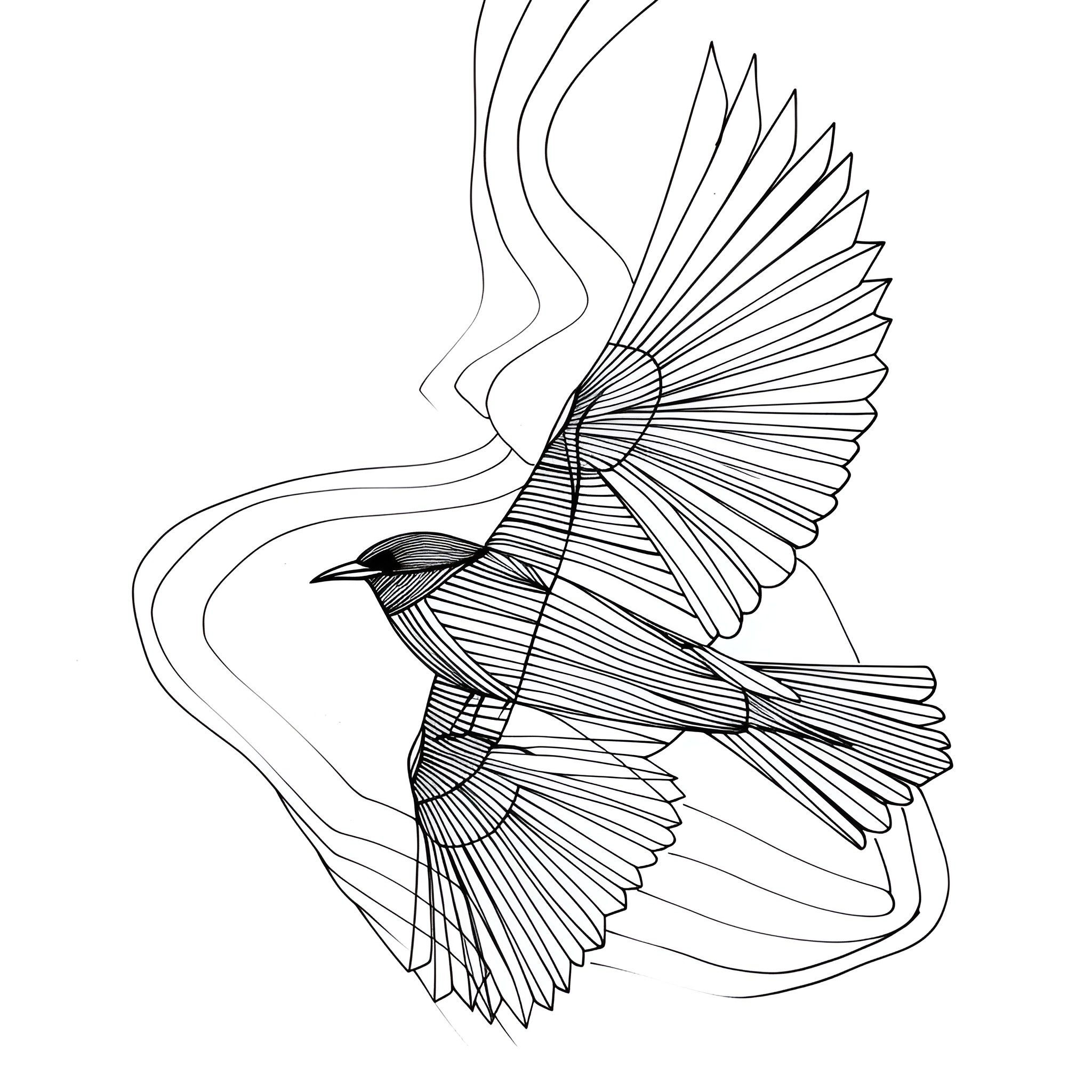 Abstract Bird in Flight Drawing Idea (free black-and-white line drawing printable PDF for all, from beginners to advanced learners, including children, teens, adults, and seniors)