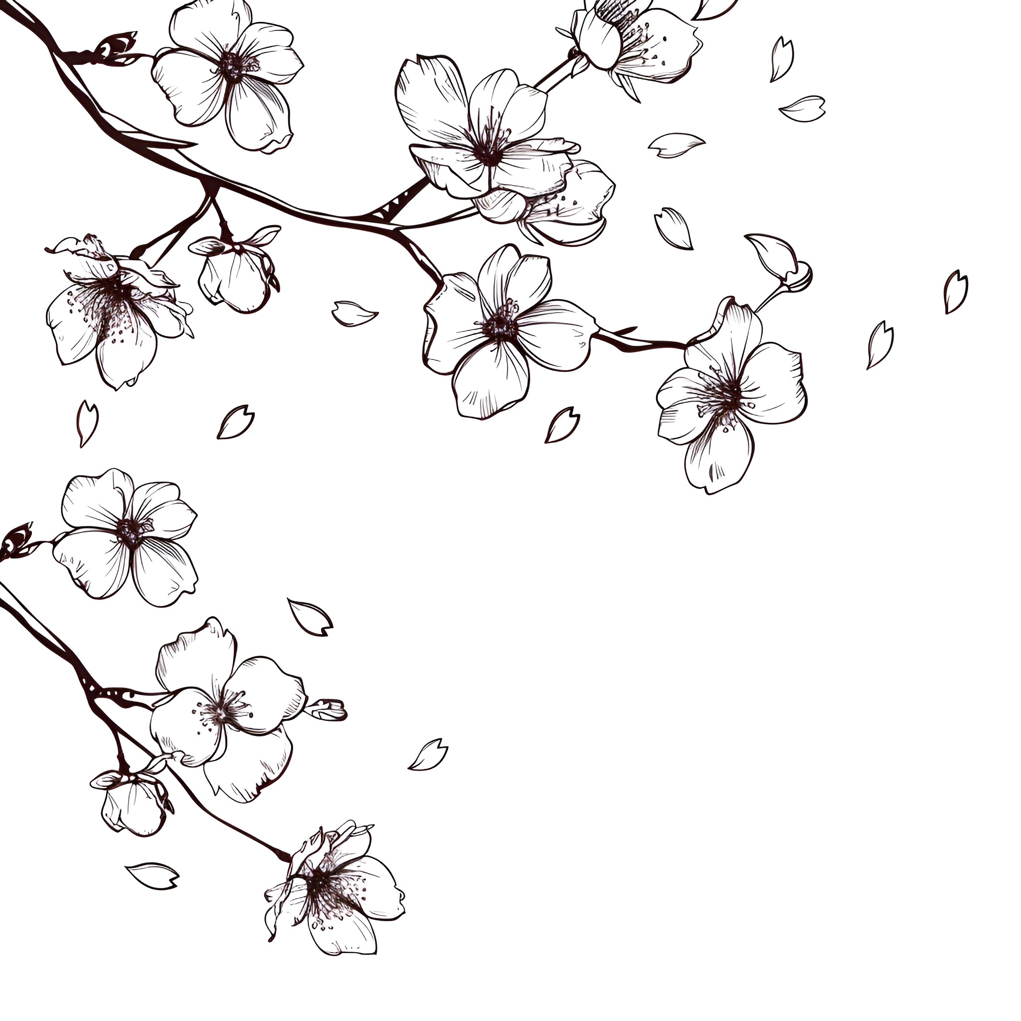 Springtime blossoms dancing in the wind Drawing Idea (free black-and-white line drawing printable PDF for all, from beginners to advanced learners, including children, teens, adults, and seniors)