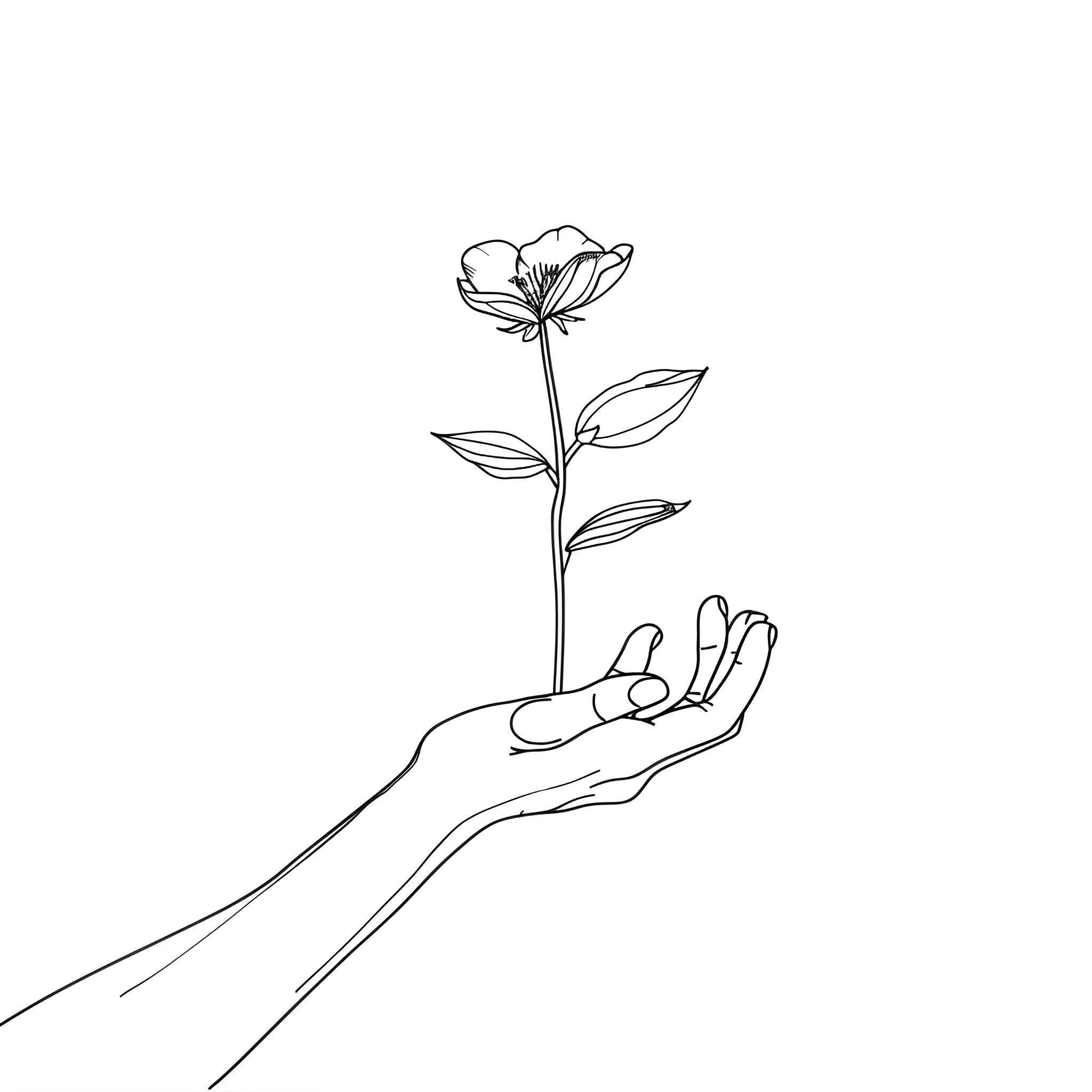 Hand Holding and Nurturing Flower Drawing Idea (free black-and-white line drawing printable PDF for all, from beginners to advanced learners, including children, teens, adults, and seniors)