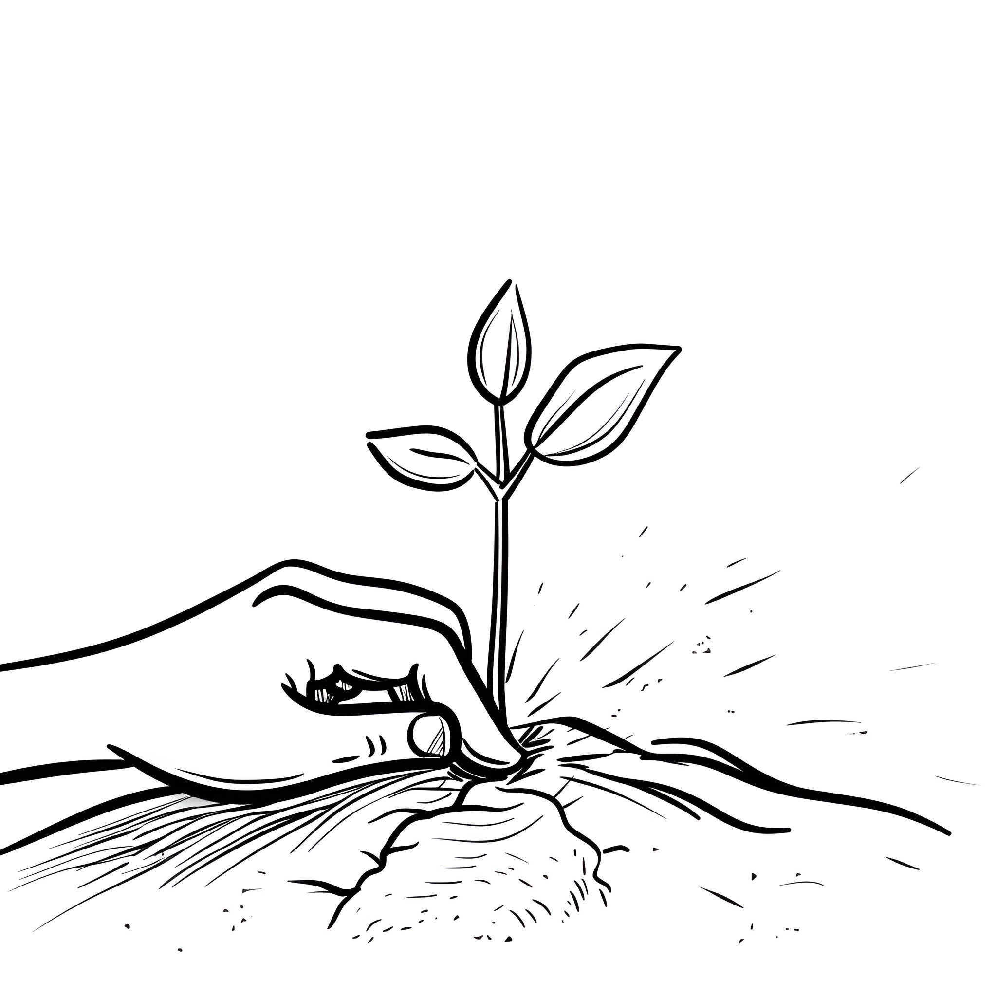 Hand planting seedling in soil Drawing Idea (free black-and-white line drawing printable PDF for all, from beginners to advanced learners, including children, teens, adults, and seniors)