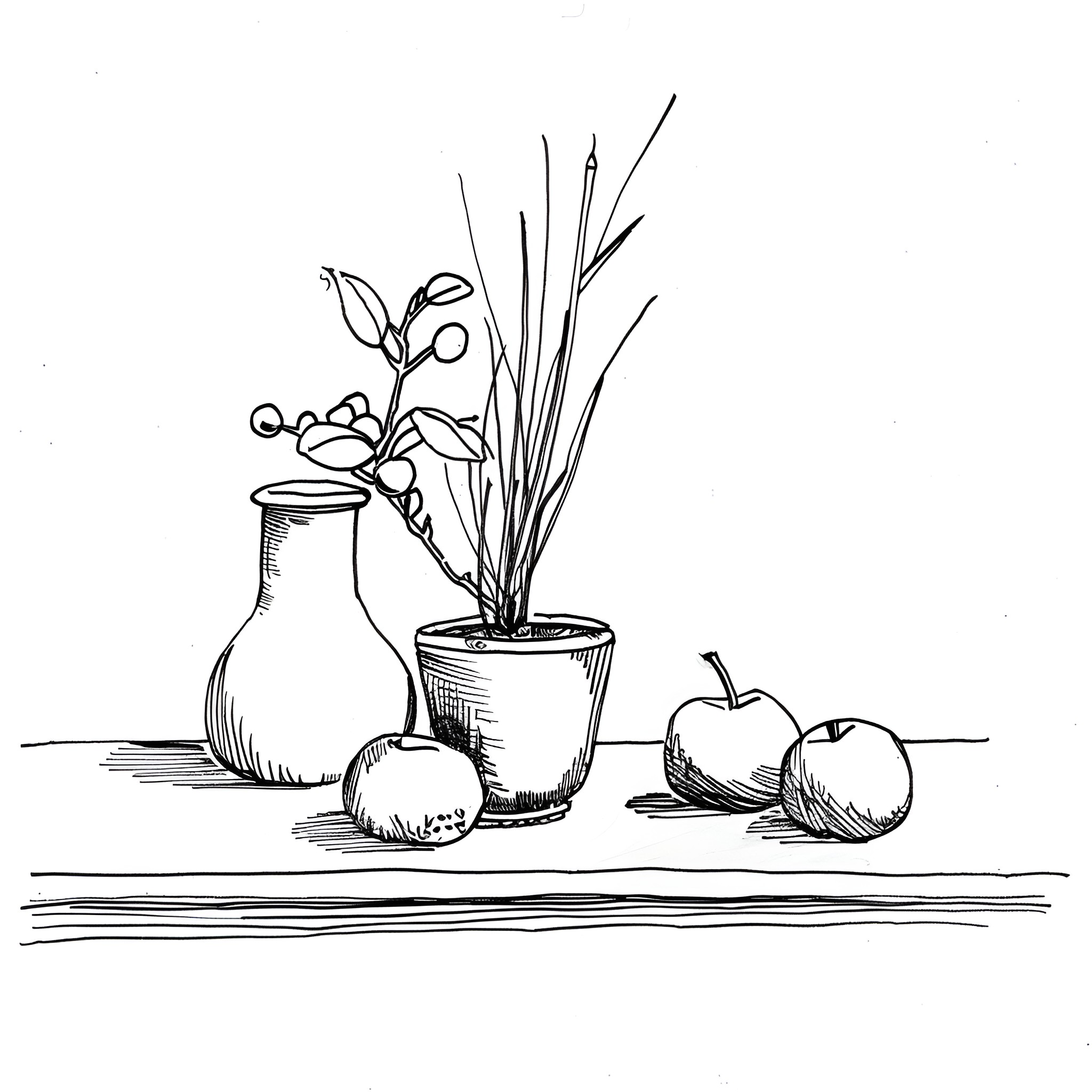 Still Life with Potted Plants and Apples Drawing Idea (free black-and-white line drawing printable PDF for all, from beginners to advanced learners, including children, teens, adults, and seniors)