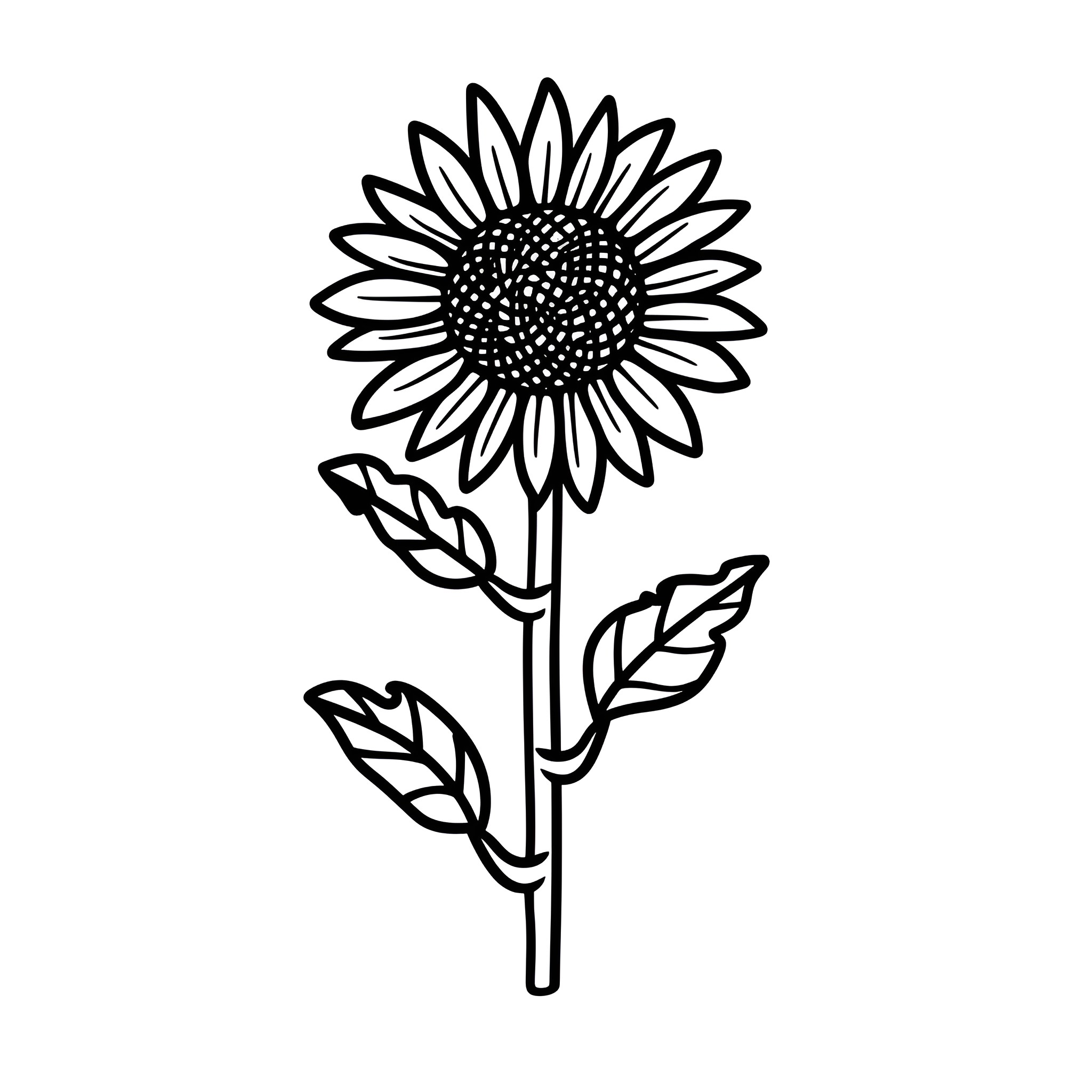 Sunflower in simple black and white Drawing Idea (free black-and-white line drawing printable PDF for all, from beginners to advanced learners, including children, teens, adults, and seniors)